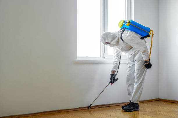 Pest Prevention Services in Albion, MI