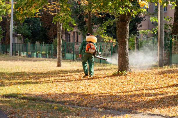 Best Best Pest Control Companies  in Albion, MI